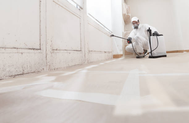 24/7 Emergency Mold Cleanup experts in Arlington, VA