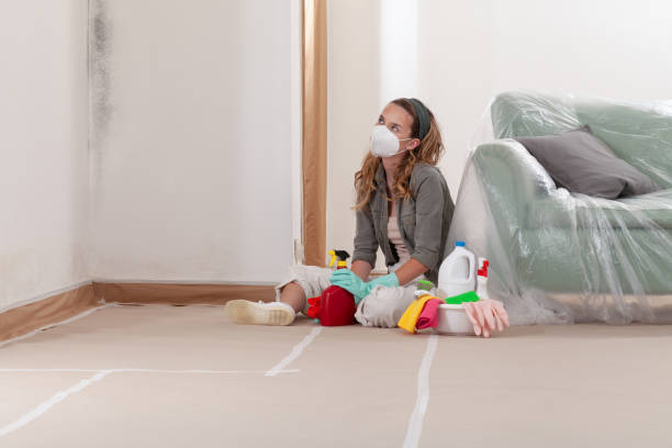 Reliable Mold Cleanup contractor in Arlington, VA by Cheap Mold Removal